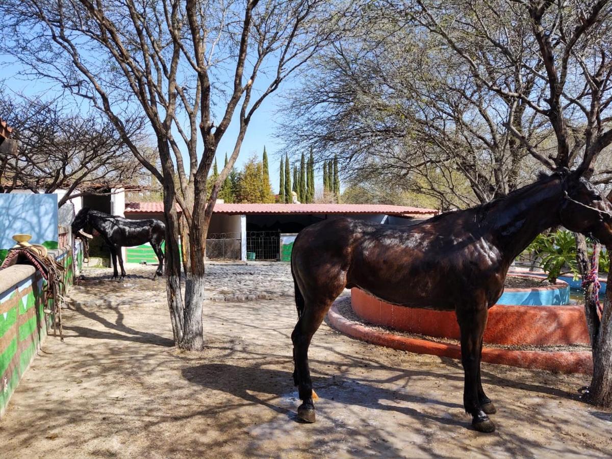 Rancho Labradores Atotonilco  外观 照片